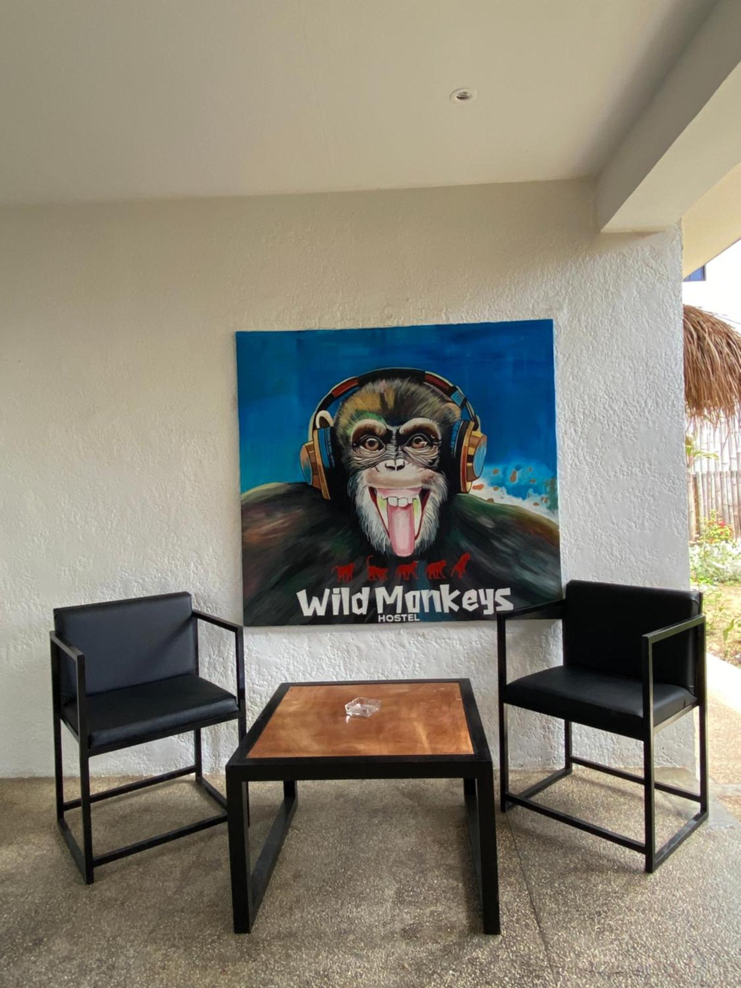 Wild Monkeys Hostel Moalboal Exterior photo